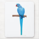 Suche nach blauer vogel mousepads Haustier