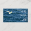 Suche nach seemöwe visitenkarten Natur