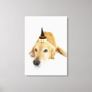 Suche nach puppen leinwandbilder Tier