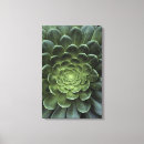 Suche nach kaktus leinwandbilder Blätter