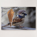 Suche nach spatz puzzle Winter