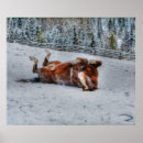 Suche nach pferdeschlitten poster Hengst