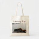 Suche nach monterey Meer
