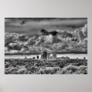 Suche nach rochen poster Weiß