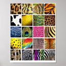 Suche nach tigerstreifen poster Tiere