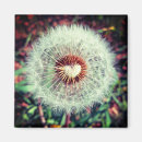 Suche nach löwenzahn magnete Inspirierend