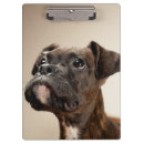 Suche nach schauen sie klemmbrett Ein tier