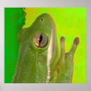 Suche nach cooler frosch poster Lustig
