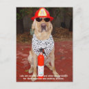Suche nach feuerwehr postkarten Labrador