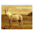 Suche nach fohlen kalender Friesisch