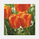 Suche nach heller frühling magnete Botanisch