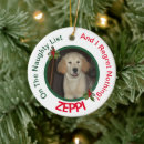 Suche nach pet ornamente Personalisiert