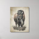 Suche nach büffel leinwandbilder Bison