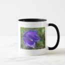 Suche nach glockenblumen tassen Blau