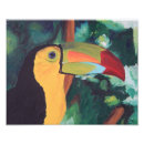 Suche nach toucan poster Schwarzes