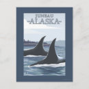 Suche nach schwertwal postkarten Alaska