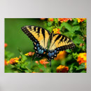Suche nach frack poster Farbe