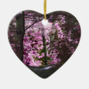 Suche nach licht ornamente Fotografie