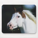 Suche nach malen mousepads Pferd