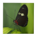 Suche nach schwarzer schmetterling fliesen Für sie