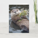 Suche nach lustige otter karten Mother