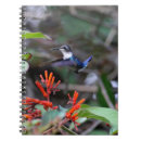 Suche nach kolibri kleine notizbücher Exotisch