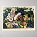 Suche nach vintage fruit poster Antique