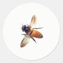 Suche nach wespe aufkleber Insekt