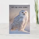 Suche nach eulen im schnee karten Vogelvogel