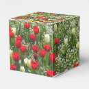 Suche nach tulpe papier geschenk box Frühlingsblumen