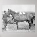 Suche nach comanche poster Pferd