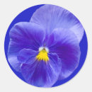 Suche nach pansy aufkleber Blume