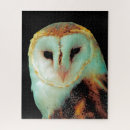 Suche nach raubvögel puzzle Greifvögel