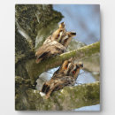 Suche nach eule fotoplatten Vögel