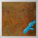 Suche nach vulture poster Tierwelt