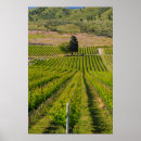 Suche nach weinberg poster Usa