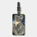 Suche nach beuteltiere accessoires Australisch