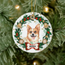 Suche nach tod des hundes geschenke Welpe