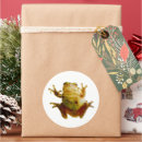 Suche nach froggies Amphibien