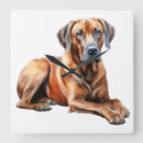 Suche nach ridgeback wanduhren Rassenstücke