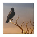 Suche nach rabe fliesen Baum