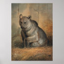 Suche nach syrische poster Tiere