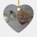 Suche nach baby igel ornamente Tiere