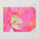 Suche nach orange rosa postkarten Elegant