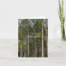 Suche nach tall karten Natur