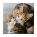 Suche nach niedliche katzen fliesen Für sie