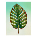 Suche nach leaf poster Dschungel