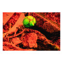 Suche nach rote kugel poster Natur