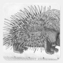 Suche nach porcupine aufkleber Qualen