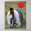 Suche nach pinguin poster Valentinstag